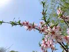 -大兴滨河森林公园