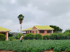 -侯臣咖啡文化村