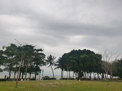 -深圳湾公园(南山区)