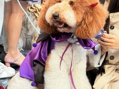 -华谊兄弟（长沙）电影小镇