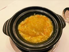 蟹粉鱼翅-福1015(愚园路店)