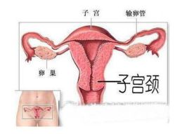 -邢台妇产医院