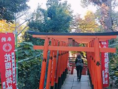 -上野公园花园稻荷神社(忍岡稲荷神社)