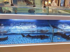 -渔人码头(中南店)