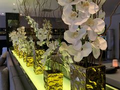 -TRB Forbidden City(故宫店)