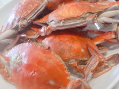 -胖大嫂渔家排档·全海景餐厅(渔村店)