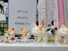 -创凡宠物医院·骨专科  猫科中心(西乡分院)