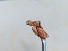 -纳吉亚猫专科动物医院博雅分院