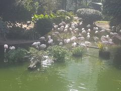 -九龙公园