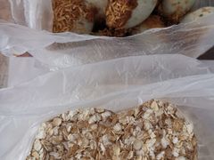 -李村大集