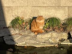 -静安公园(静安寺街道)
