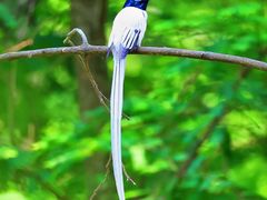 -桤木河湿地公园