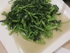 -锦粤宫·精致粤菜(深圳北站店)
