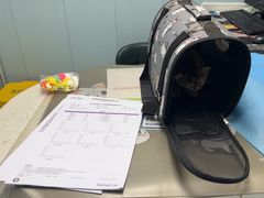 -纳吉亚猫专科动物诊疗中心(蒋宅口分院)