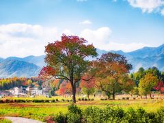 -塔川景区