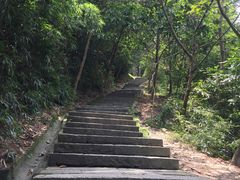 -火炉山森林公园
