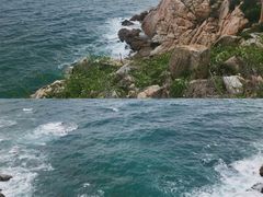 -广东惠东海龟国家级自然保护区