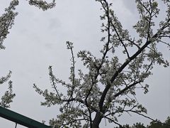 -树山生态村