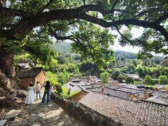 -杨家堂村