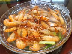 精选超大的太湖河虾-呼吸森林·生态农庄农家乐私房菜