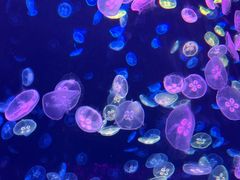 -南京金牛湖风景区