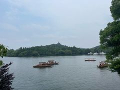 -西湖外事游船(花港观鱼码头)