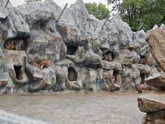 -青藏高原野生动物园