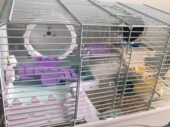 -钓仓鼠(洋桥北里小区店)