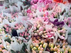 -循礼门鲜花花市(武汉循礼门店)