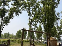 -圣露庄园·露营·烤肉·亲子