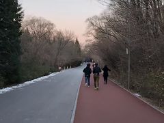 -国家会议中心大酒店