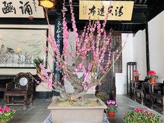 -无锡梅园公园