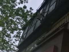 -皇冠幸福里动物奶油生日蛋糕(马祖路店)