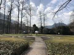 -四川省成都市彭州市白鹿镇