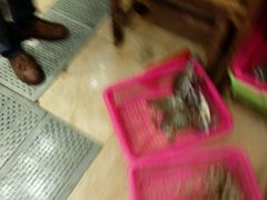 android_upload_pic-丰收渔港饭店(嵊泗店)