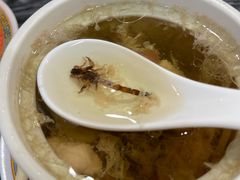 -益寿炖品店