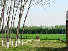 -汉长安城未央宫国家考古遗址公园