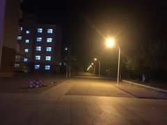 -南开大学滨海学院