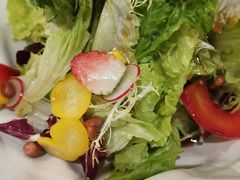 -大鸭梨烤鸭店(朝阳路店)