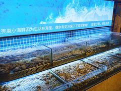 -芭菲盛宴·环球美食(北城国际店)