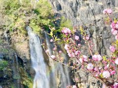 -上海辰山植物园
