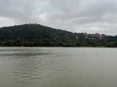 -顺峰山公园