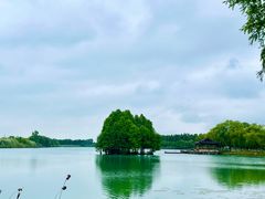 -尚湖风景区