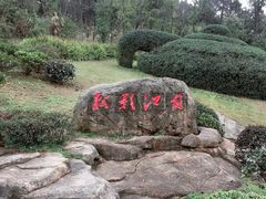 -铁山坪森林公园