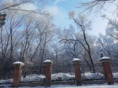 -黑龙江省森林植物园