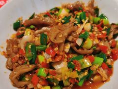 鸭掌筋-壹盏灯(蚂蚁工房店)