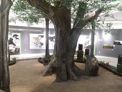 -福州动物园