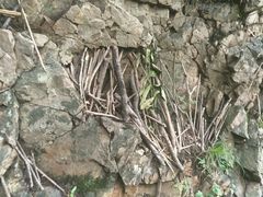 -九龙潭景区