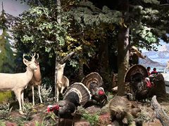 -陕西自然博物馆