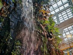 -正佳雨林生态植物园